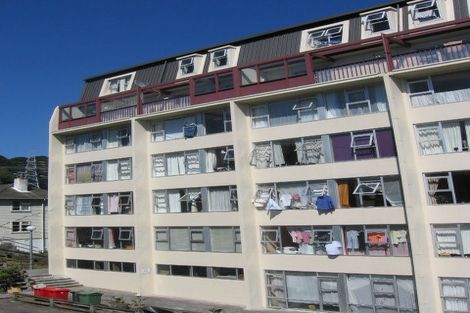 Photo of property in 78 Mcalpine Avenue, Mount Cook, Wellington, 6011