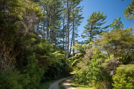 Photo of property in 51 Wharariki Road, Puponga, Collingwood, 7073