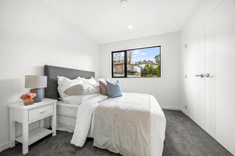 Photo of property in 33c Saint Peters Street, Northcote, Auckland, 0627