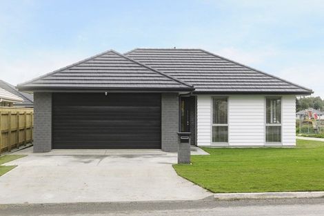 Photo of property in 79 Fairfield Road, Levin, 5510