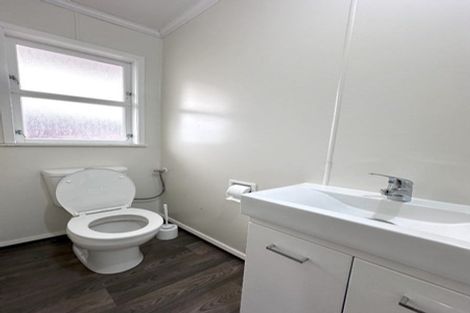 Photo of property in 113 Oxford Street, Ashhurst, 4810