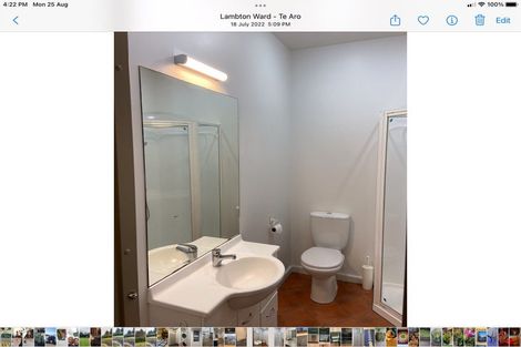 Photo of property in The Lofts, 6/185 Victoria Street, Te Aro, Wellington, 6011