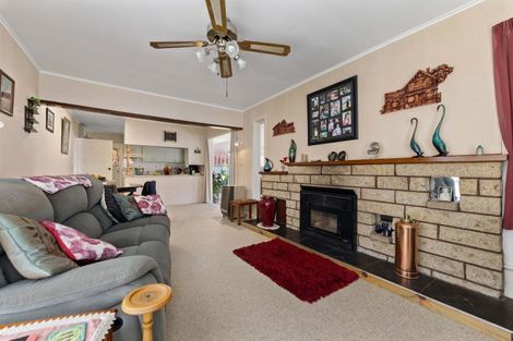 Photo of property in 6 Station Street, Tirau, 3410