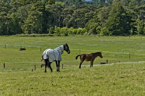 Photo of property in 247 Ararimu Valley Road, Helensville, Waimauku, 0882