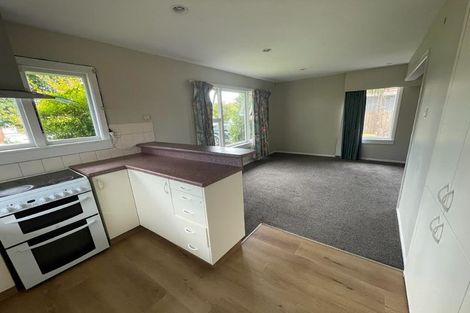 Photo of property in 25 Greenhurst Street, Sockburn, Christchurch, 8042