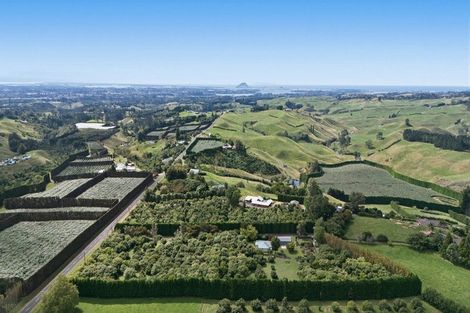 Photo of property in 151a Hereford Road, Oropi, Tauranga, 3173