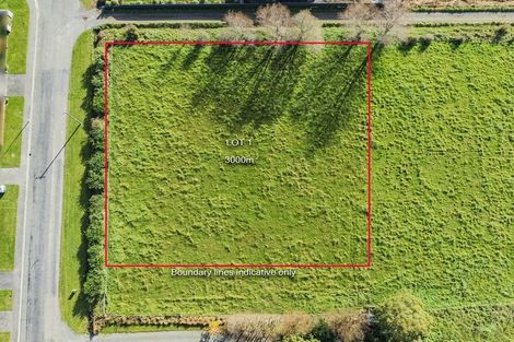 Photo of property in 84 Manse Road, Pleasant Point, 7983