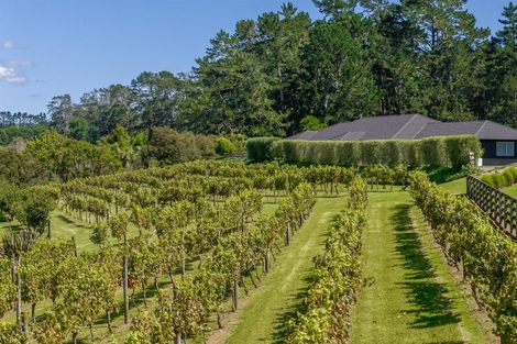 Photo of property in 583 State Highway 16, Kumeu, 0891