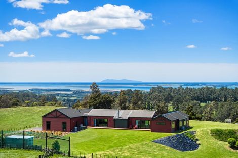 Photo of property in 677 Work Road, Whakamarama, Katikati, 3181