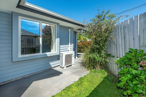Photo of property in 1/19 Lascelles Street, Saint Martins, Christchurch, 8022