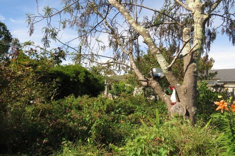 Photo of property in 44 Mahia Avenue, Wairoa, 4108