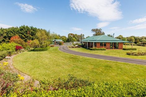 Photo of property in 4 Harper Mews, Feilding, 4702
