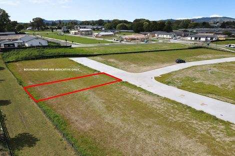 Photo of property in 14 Te Ia Terrace, Cambridge, 3434