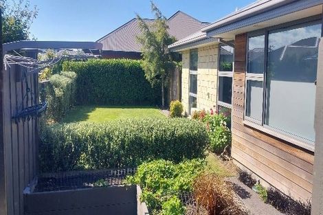 Photo of property in 3 Tommy Street, Pegasus, 7612