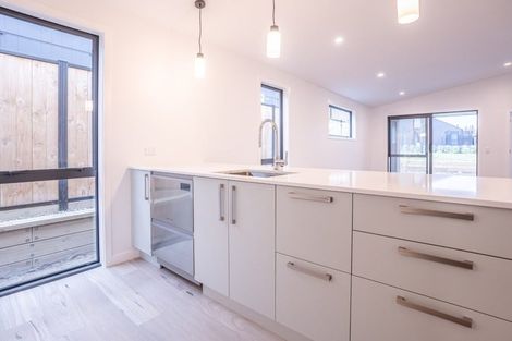 Photo of property in 39 Vintage Street, Cromwell, 9310