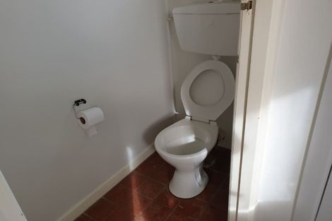 Photo of property in 24 Hinau Street, New Lynn, Auckland, 0600