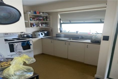 Photo of property in Te Awhina Apartments, 22u1 Sussex Street, Mount Cook, Wellington, 6021