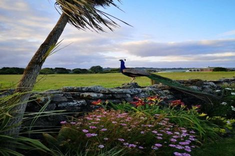 Photo of property in 121 Muir Avenue, Mangere Bridge, Auckland, 2022