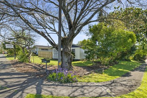 Photo of property in 4 Lindale Street, Morrinsville, 3300