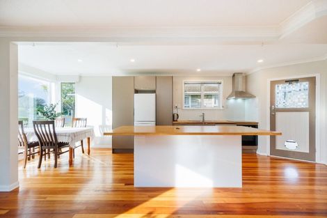 Photo of property in 132 Limbrick Street, Terrace End, Palmerston North, 4410