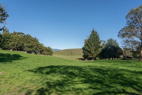 Photo of property in 733 Grove Road, Karamu, Hamilton, 3285