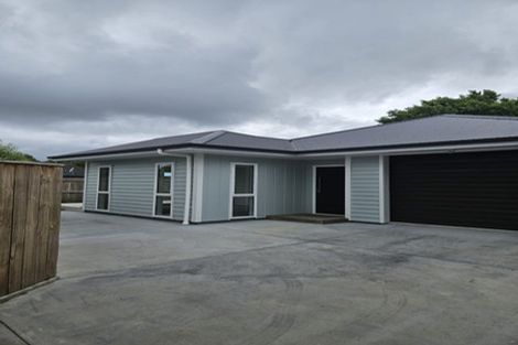 Photo of property in 172 College Street, Awapuni, Palmerston North, 4412