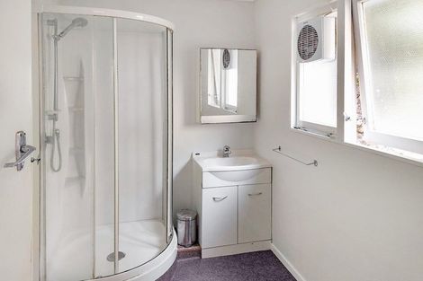 Photo of property in 29u1 Waiapu Road, Kelburn, Wellington, 6012