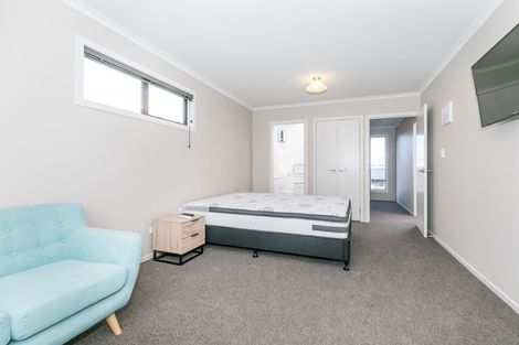 Photo of property in 188u2 Ulster Street, Whitiora, Hamilton, 3200