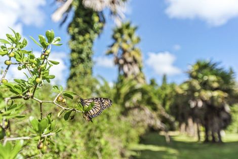 Photo of property in 6388a South Road, Pungarehu, 4685