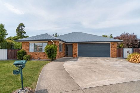 Photo of property in 3 Gimson Street, Solway, Masterton, 5810