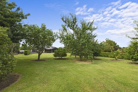 Photo of property in 86r Phillips Drive, Oropi, Tauranga, 3173