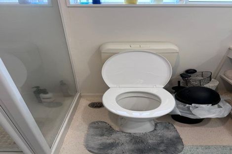 Photo of property in 53 Palmcrest Grove, Highland Park, Auckland, 2010