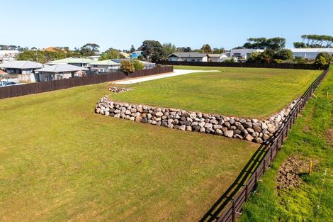 Photo of property in 92 Mould Street, Waitara, 4320