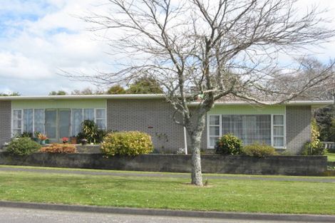 Photo of property in 105 Cordelia Street, Stratford, 4332