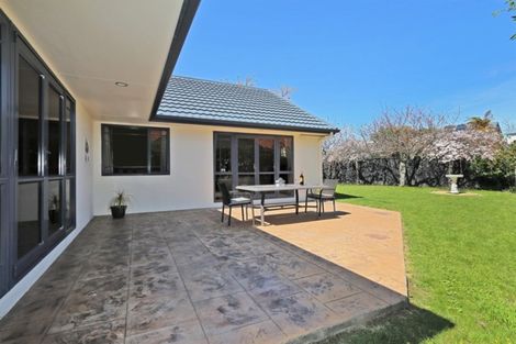 Photo of property in 150 Avenue Road, Greenmeadows, Napier, 4112