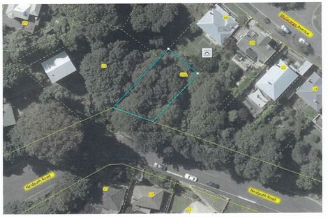 Photo of property in 20a Mcgeorge Avenue, Mornington, Dunedin, 9011