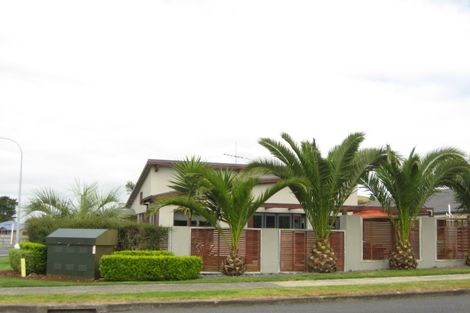 Photo of property in 110 Reynolds Road, Pukekohe, 2120