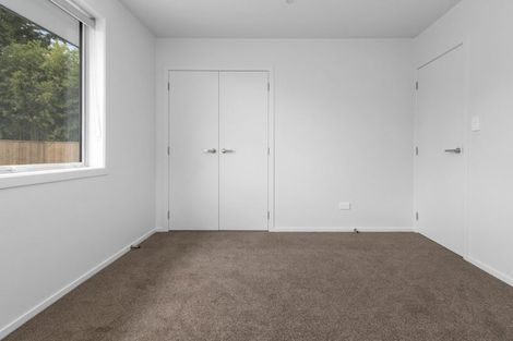 Photo of property in 41u2 Ross Crescent, Fairfield, Hamilton, 3214
