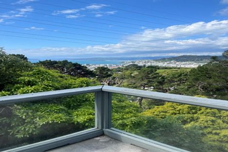 Photo of property in 43 Mortimer Terrace, Brooklyn, Wellington, 6021