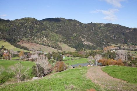 Photo of property in 78 Packtrack Road, Thames, 3577