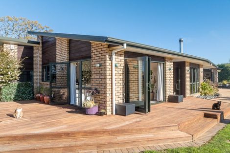 Photo of property in 161 Hautapu Road, Pukemoremore, Cambridge, 3493