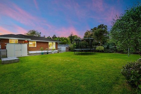 Photo of property in 23 Lucinda Place, Glen Eden, Auckland, 0602