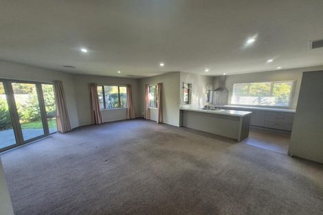 Photo of property in 1c Moule Street, Addington, Christchurch, 8024