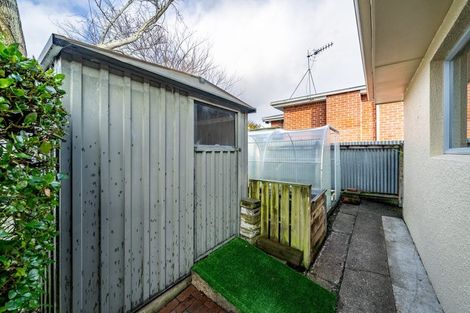 Photo of property in 33 Duncraig Street, Hawthorndale, Invercargill, 9810