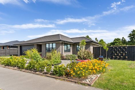 Photo of property in 41 Lucca Crescent, Rolleston, 7615