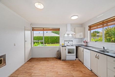 Photo of property in 6a Brewer Street, Blenheim, 7201