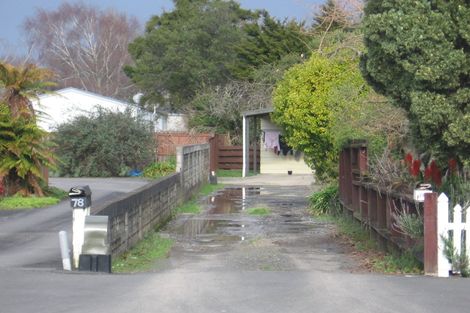 Photo of property in 78 Clarkin Road, Fairfield, Hamilton, 3214