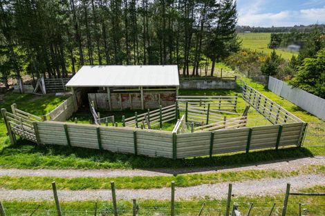 Photo of property in 526 Downs Road, Eyrewell, West Eyreton, 7476