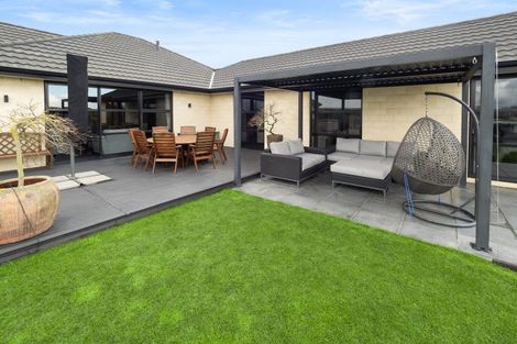 Photo of property in 6 Trent Place, Huntingdon, Ashburton, 7774