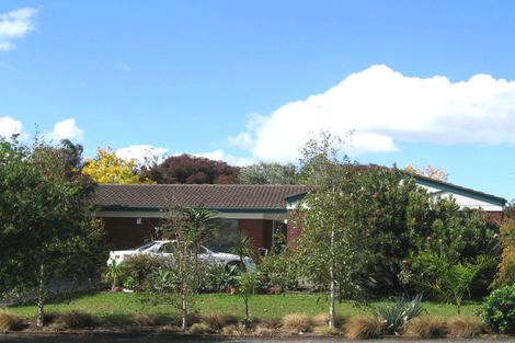 Photo of property in 33 Frank Evans Place, Henderson, Auckland, 0610